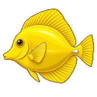 Yellow Tang