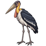 Lesser Adjutant Stork