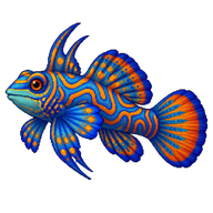Mandarinfish