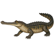 False Gharial