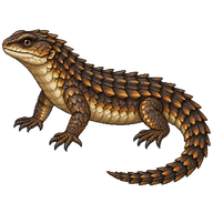 Peters' Keeled Cordylid
