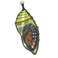 Common Crow Chrysalis
