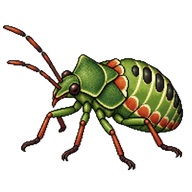 Forest Bug Nymph