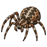 Toad Spider