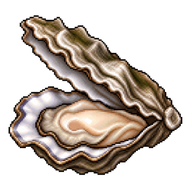 Eastern Oyster