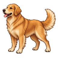 Domestic Dog