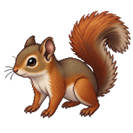 Pallas's Squirrel Kit