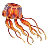 Fire Jelly Medusafish