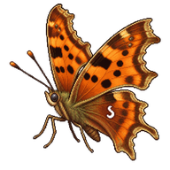 Comma