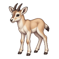 Addax Calf