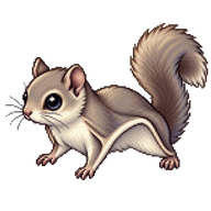 Siberian Flying Squirrel Kit