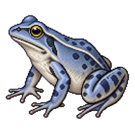 Moor Frog
