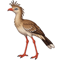 Red-legged Seriema