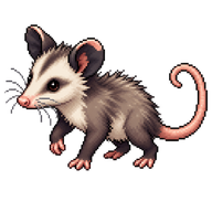 Common Opossum Joey