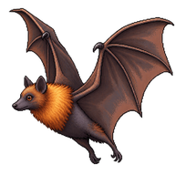 Large Flying Fox