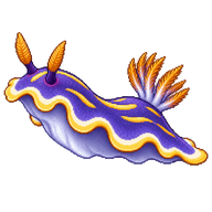 Cinderella Sea Slug