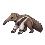 Giant Anteater Pup