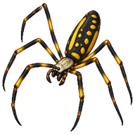 Golden Orb Weaver