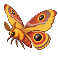 Io Moth