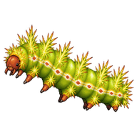 Io Moth Caterpillar