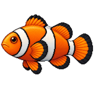 Blackfinned Clownfish