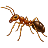 Longlegged Ant