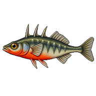 Alaskan Stickleback