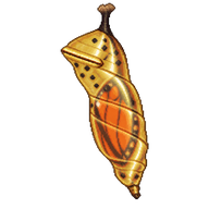 Julia Heliconian Chrysalis