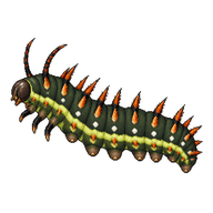 Lorquin's Admiral Caterpillar