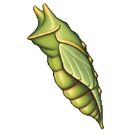 Eastern Tiger Swallowtail Chrysalis