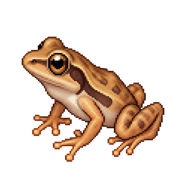 Spring Peeper Froglet