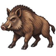 Wild Boar