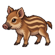Wild Boar Piglet
