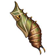 Two-tailed Pasha Chrysalis