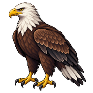 Pallas's Fish Eagle