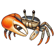 Atlantic Sand Fiddler Crab