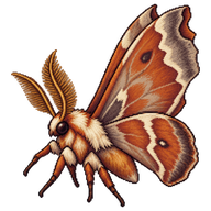 Lappet Moth