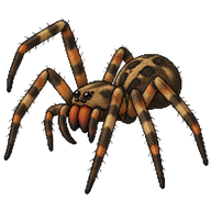 Brazilian Wandering Spider