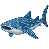Whale Shark