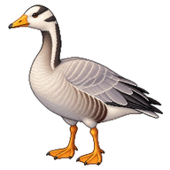 Bar-headed Goose