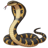 King Cobra