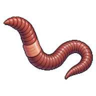 Common Earthworm