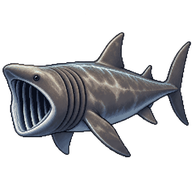 Basking Shark
