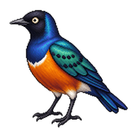 Superb Starling