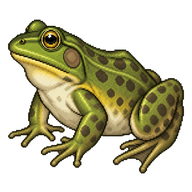 American Bullfrog