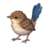 Superb Fairywren Nestling