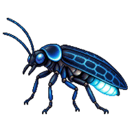 Blue Ghost Firefly