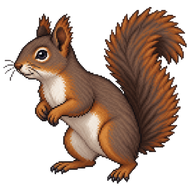 Douglas' Squirrel