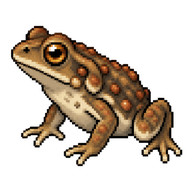 Asiatic Toad Toadlet