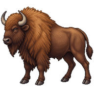 European Bison